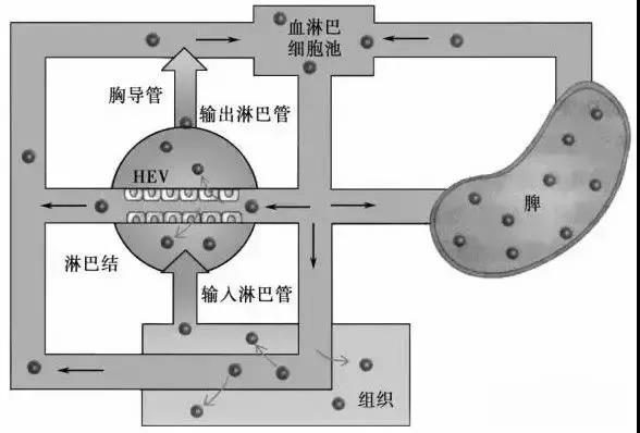 1641801994903467.jpg 3.jpg